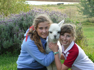 Two girls cuddling a cria